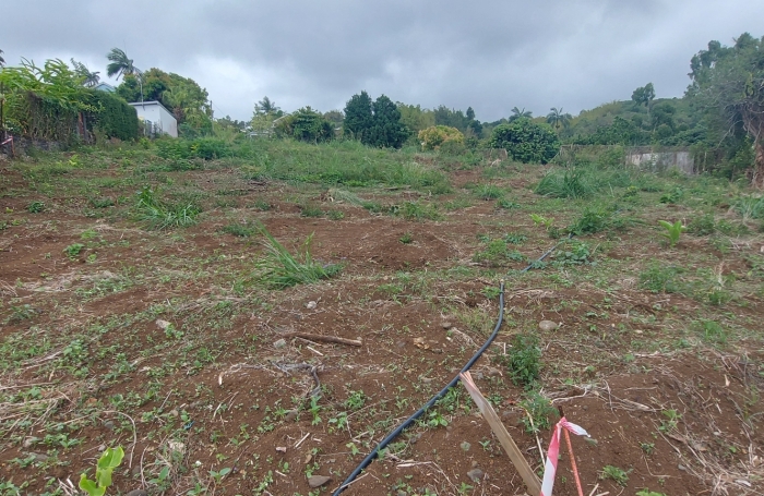 Vente Terrain 97423