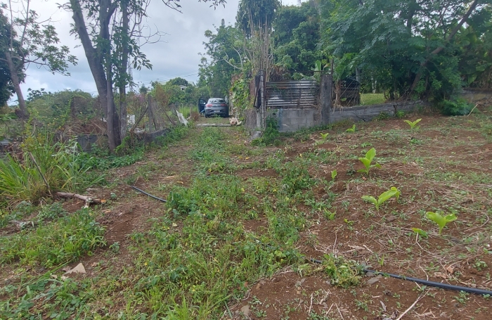 Vente Terrain 400m&sup2; Le Guillaume
