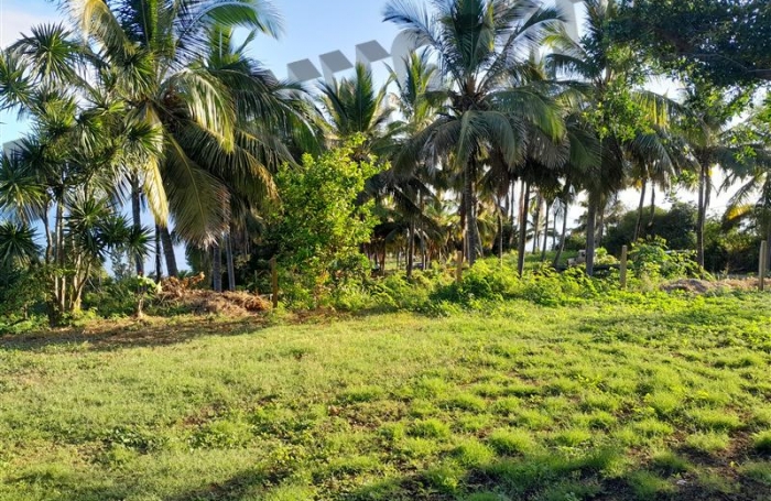 Location Maison 86m² 4 pièces Piton Saint Leu