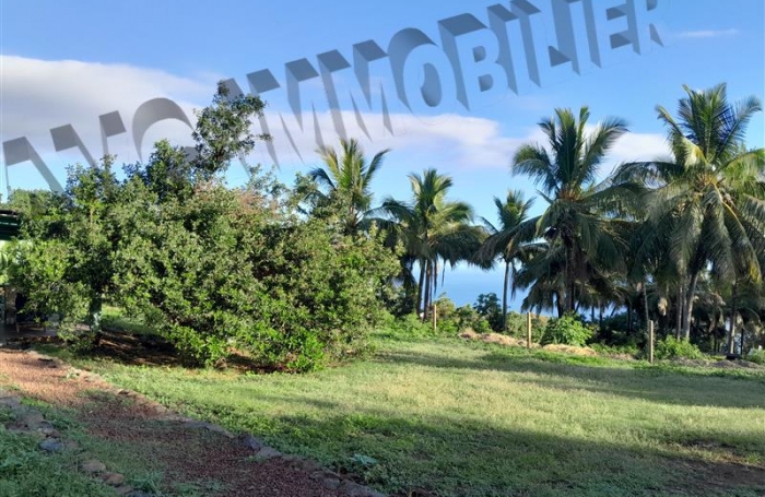 Location Maison 86m² 4 pièces Piton Saint Leu