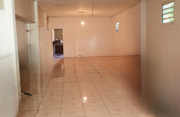 Vente Maison 9 pièces Plaine des Palmistes