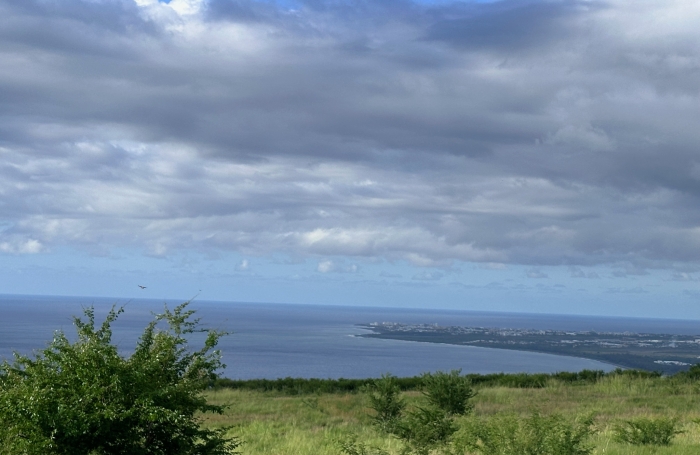 Vente Terrain 97460