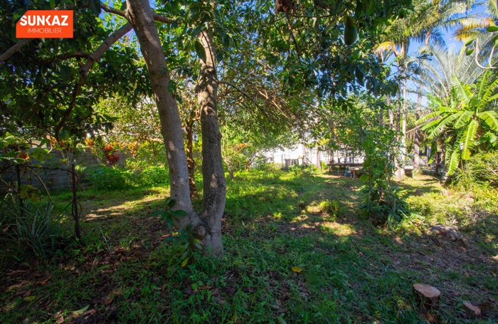 Vente Terrain 278m² Le Tampon