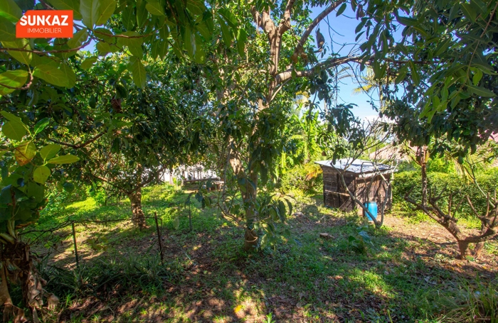 Vente Terrain 278m² Le Tampon