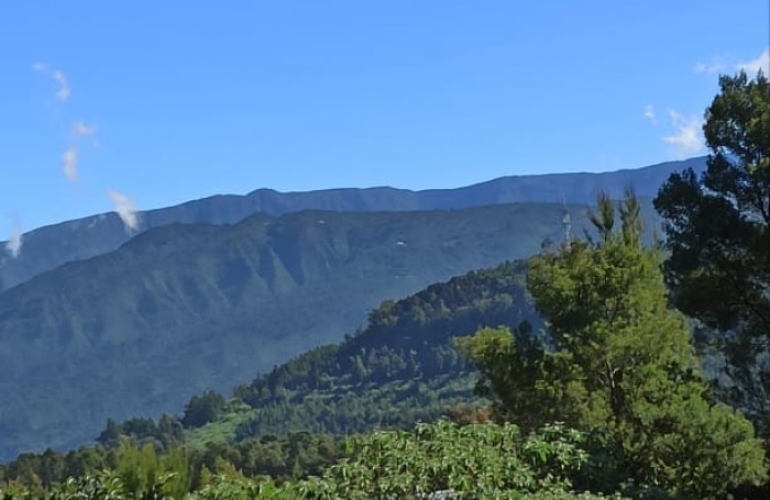 Vente Terrain 540m&sup2; Plaine des Cafres