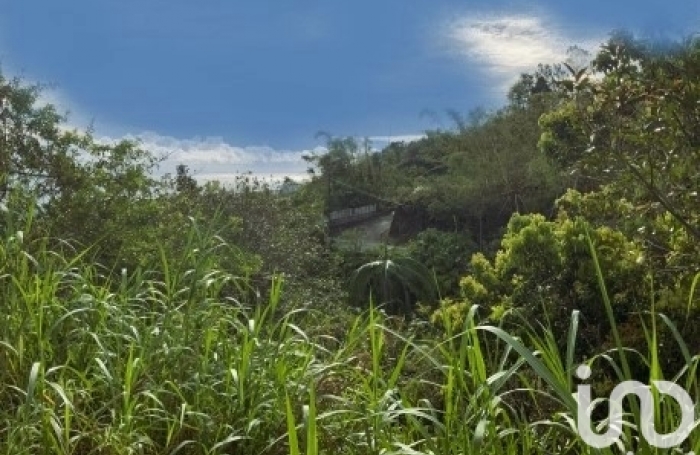 Vente Terrain 97400