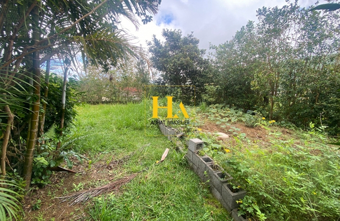 Vente Terrain 377m² Rivière Saint Louis