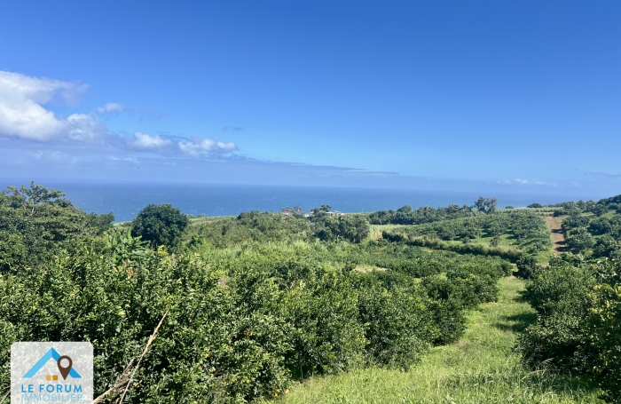 Vente Terrain 97429