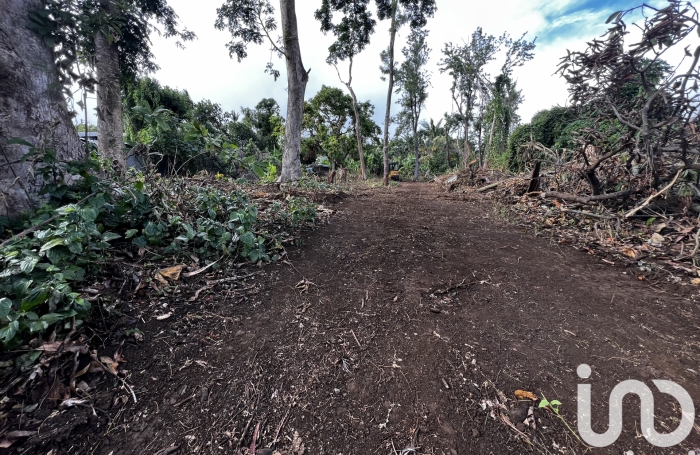 Vente Terrain 356m&sup2; Plaine des Cafres