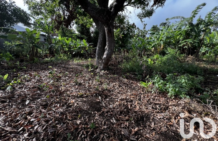 Vente Terrain 356m&sup2; Plaine des Cafres