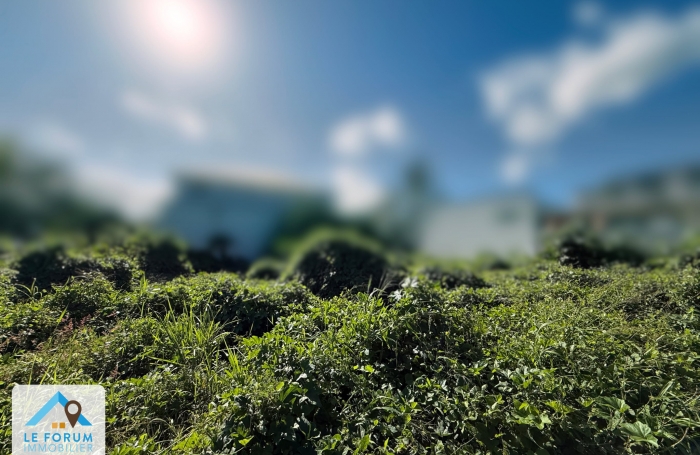 Vente Terrain 97410