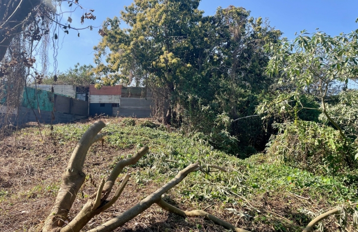 Vente Terrain 789m² Le Tampon