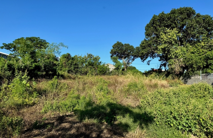 Vente Terrain 97450