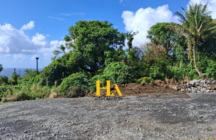Vente Terrain 503m² Sainte Rose