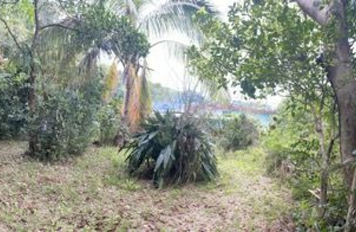 Vente Terrain 2000m&sup2; La Montagne