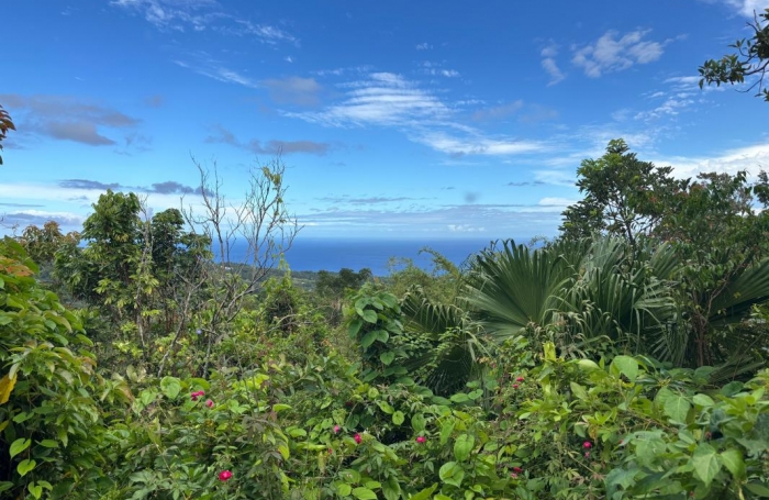 Vente Terrain 2000m&sup2; La Montagne