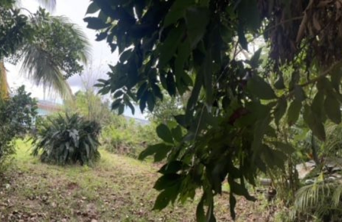 Vente Terrain 2000m&sup2; La Montagne