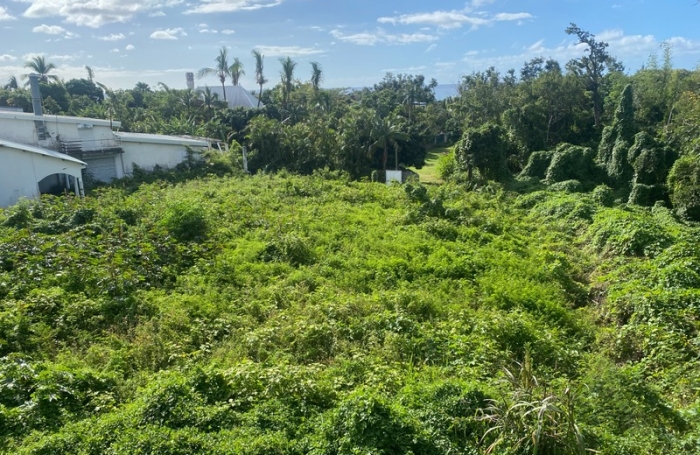 Vente Terrain 1600m&sup2; Sainte Marie