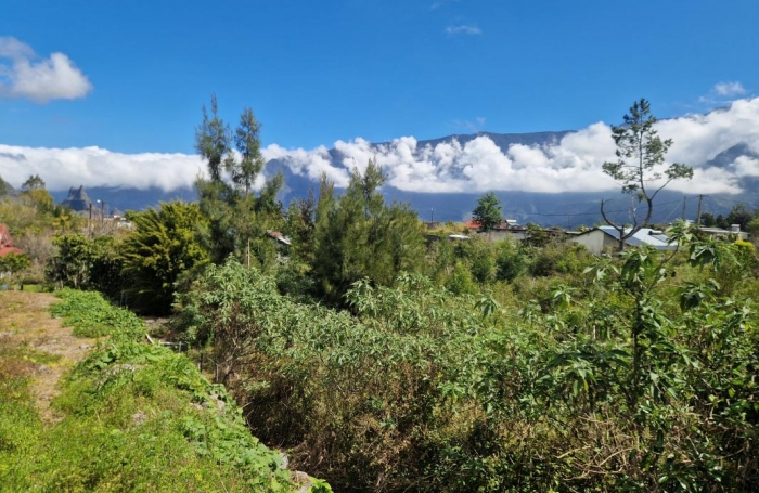Vente Terrain 97413