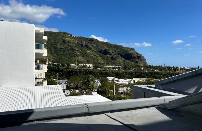 A louer T2 duplex Saint Denis centre