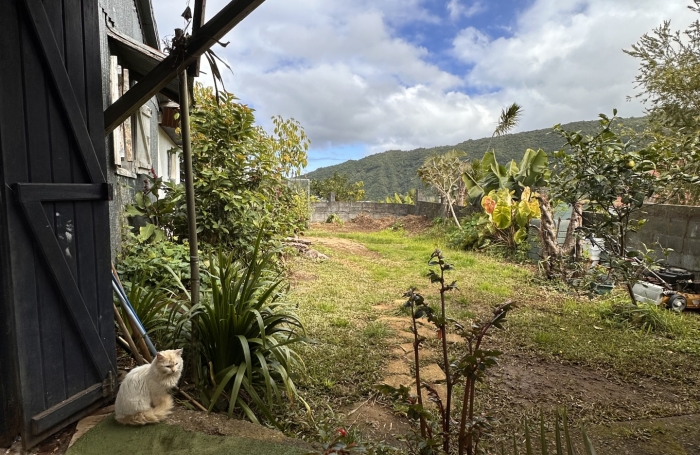 Vente Maison 97421
