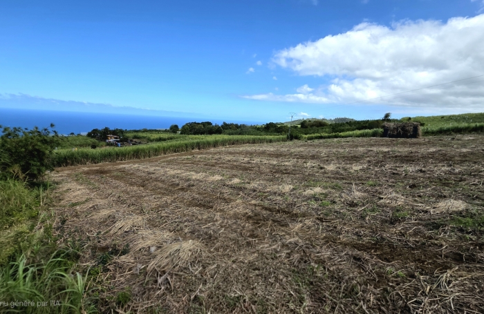 SAINT JOSEPH 97480 - MAISON À ETAGE - ENTRETENUE ET LUMINEUSE - VUE MER - PROCHE COMMODITES