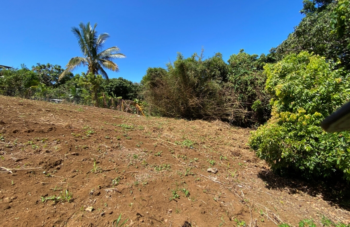 Vente Terrain 688m² Petite île
