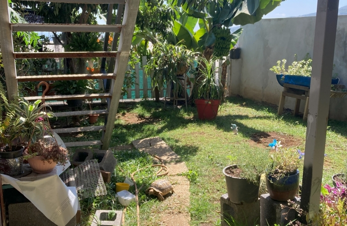 Vente Maison 132m&sup2; 5 pi&#232;ces Bois de Nefles St Paul