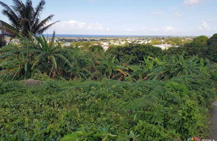 Vente Terrain 97441