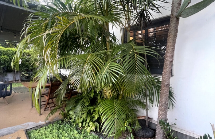 Vente Maison 109.46m² 5 pièces Saint Denis