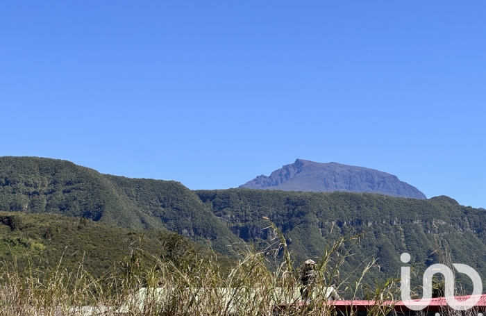 Vente Terrain 4841m&sup2; Plaine des Palmistes