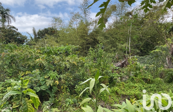 Vente Terrain 462m&sup2; Saint Joseph