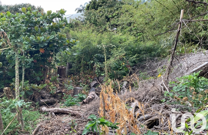 Vente Terrain 462m&sup2; Saint Joseph