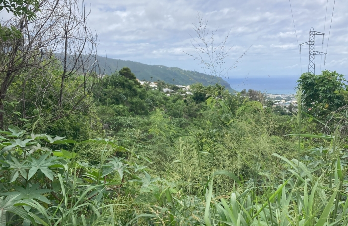 Vente Terrain 537m&sup2; Sainte Clotilde