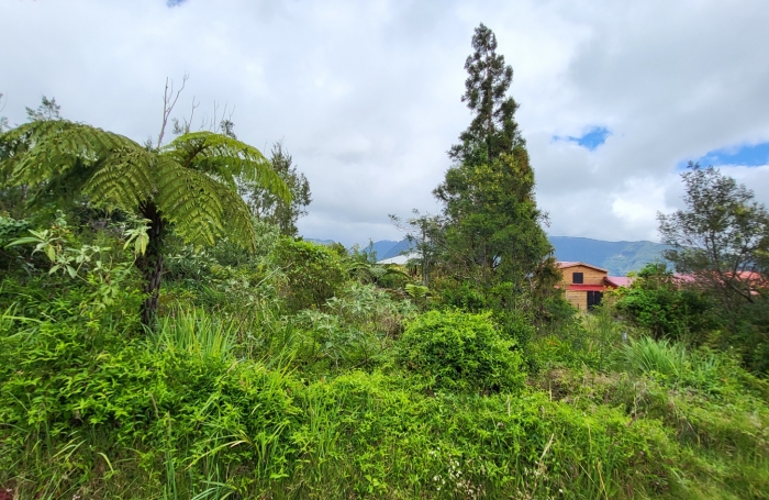 Vente Terrain 97431