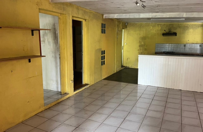 Lot de 2 biens maison plus local commerce à La Plaine des Palmistes