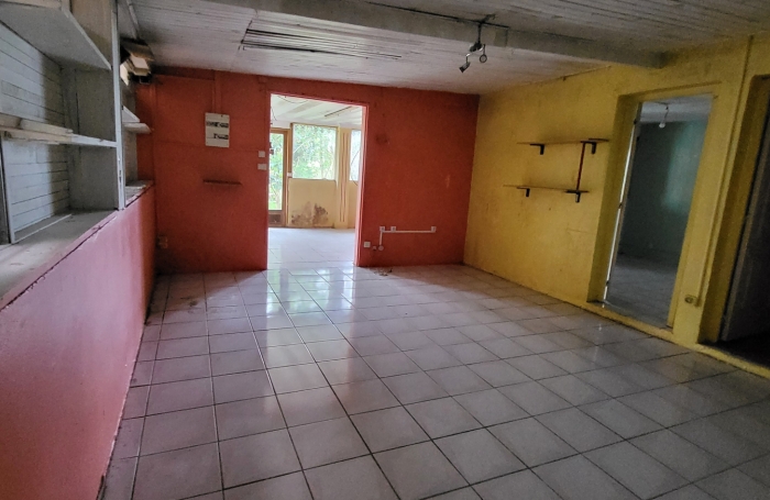 Lot de 2 biens maison plus local commerce à La Plaine des Palmistes