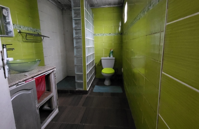 Lot de 2 biens maison plus local commerce à La Plaine des Palmistes