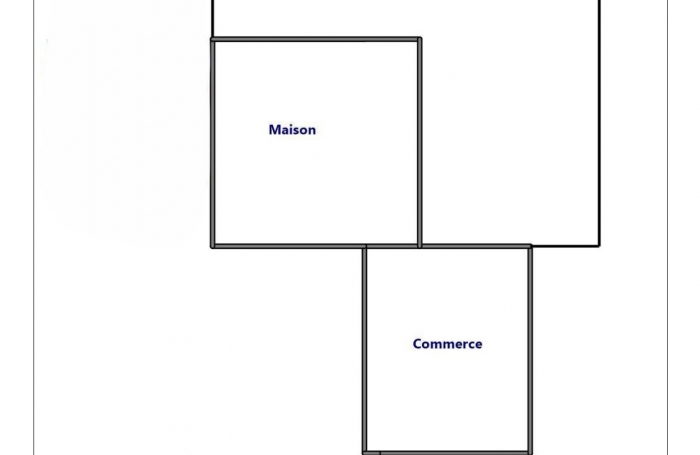 Lot de 2 biens maison plus local commerce à La Plaine des Palmistes