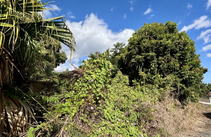 Vente Terrain 1078m&sup2; L'Entre Deux