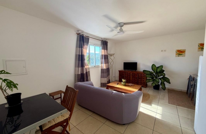 Vente Immeuble 125m&sup2; 7 pi&#232;ces Saint-Pierre