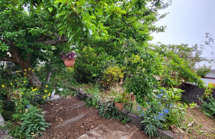 Deux maison sur terrain de 1325 m2 à la Plaine des Cafes