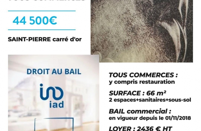 Vente Fonds de commerce 97410