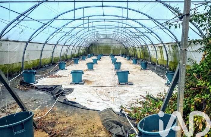 Vente Terrain 11990m&sup2; La Saline les Hauts