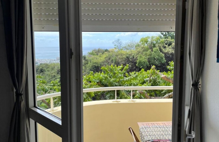 Vente Appartement 24.64m² 1 pièce Saint Denis