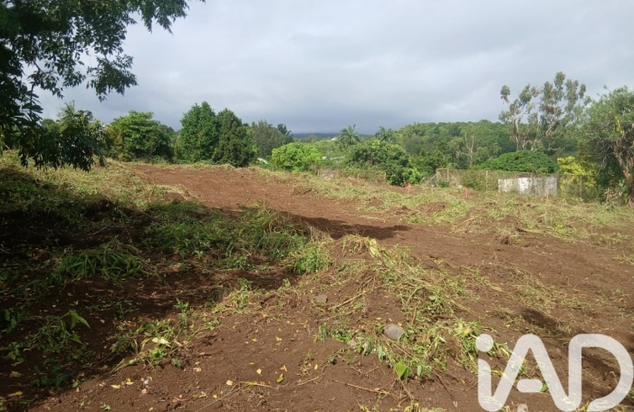 Vente Terrain 97460