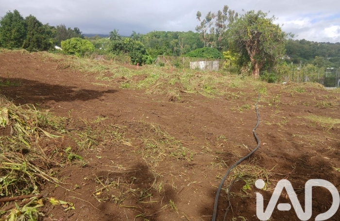 Vente Terrain 97460