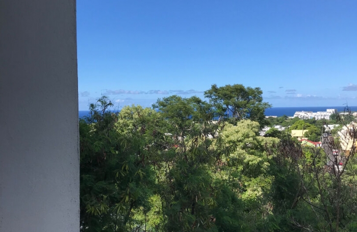 Location Appartement 28.16m² 1 pièce Saint Denis