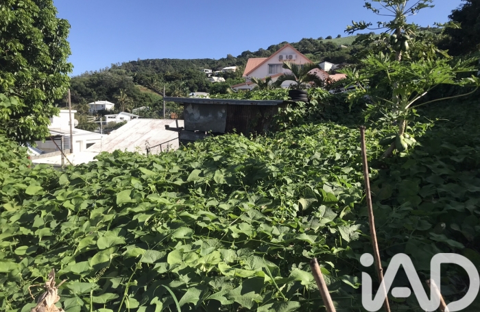 Vente Terrain 594m&sup2; Les Avirons