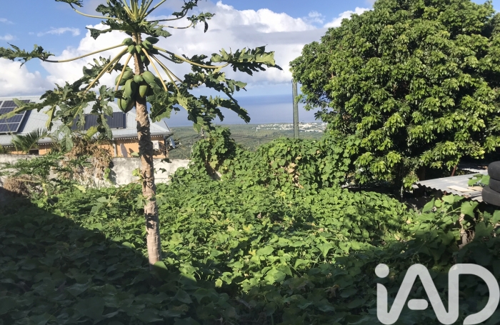 Vente Terrain 594m&sup2; Les Avirons